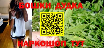сатива Беслан