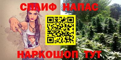 сатива Беслан