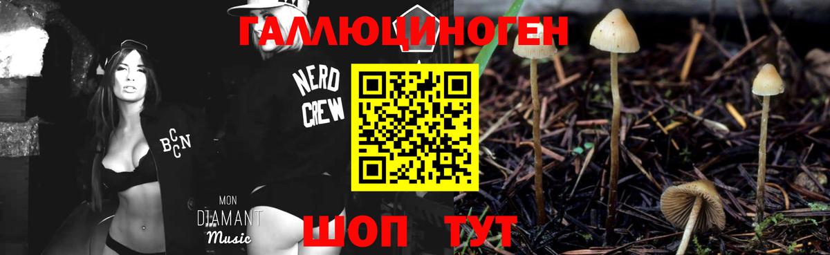 Знаменск  Псилоцибиновые грибы мицелий  Вход с VPN 